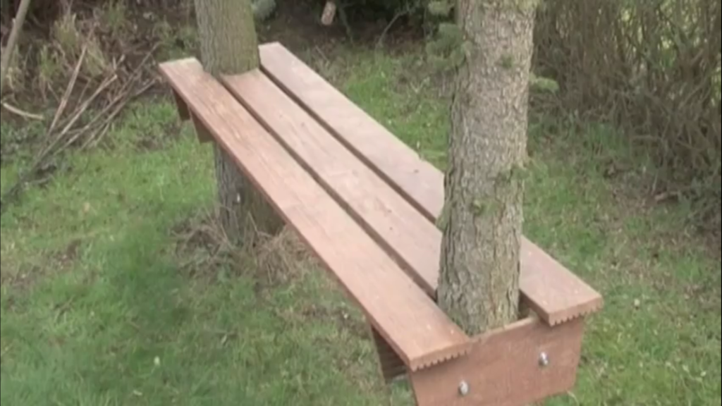 скамейка между деревьями